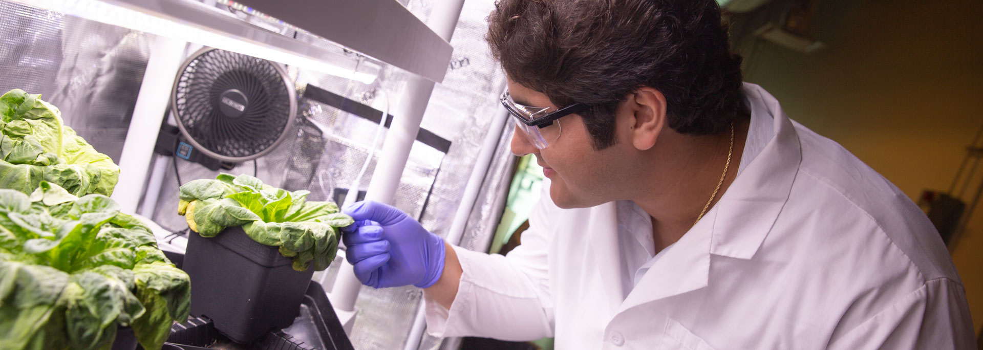 A student examines a plant in a research lab.