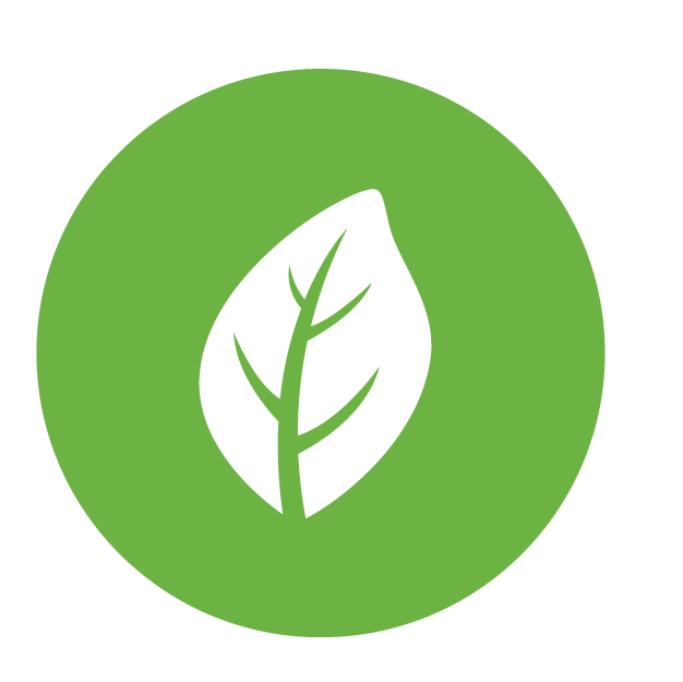 Sustainability research theme icon, disabled. A green leaf.