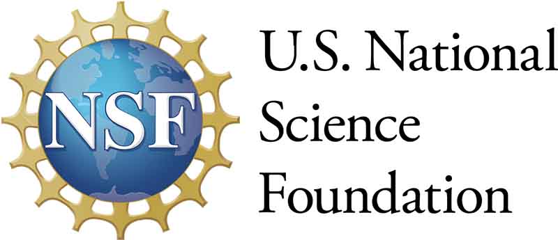 U.S. National Science Foundation logo and wordmark